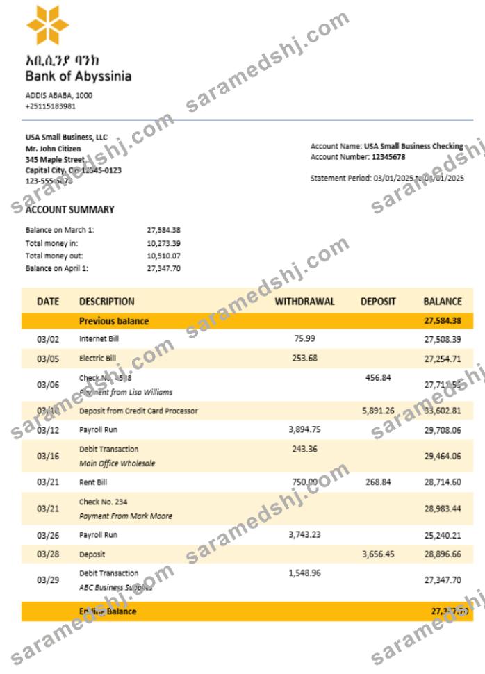 Bank of Abyssinia business bank statement Word and PDF format